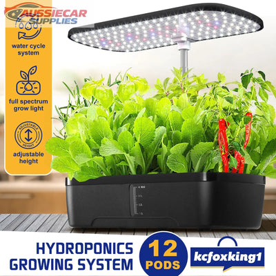 12 Pod Hydroponic Growing System with LED Grow Light | Indoor Camping Herb Garden Kit with 4L Water Tank