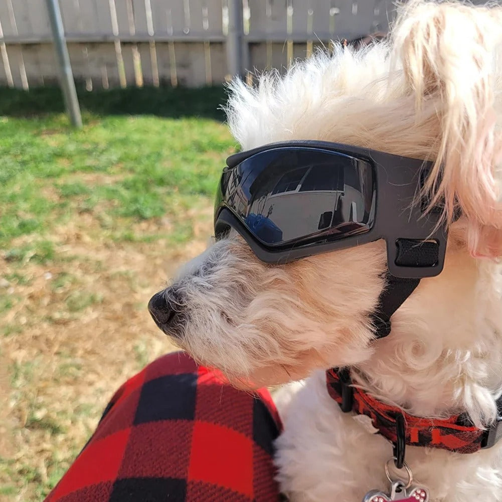 UV Protection Dog Sunglasses Adjustable Pet Goggles for Small and Medium Breed Dogs