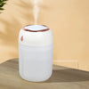 Portable Mini USB Air Humidifier and Aroma Diffuser with LED Light 330ml