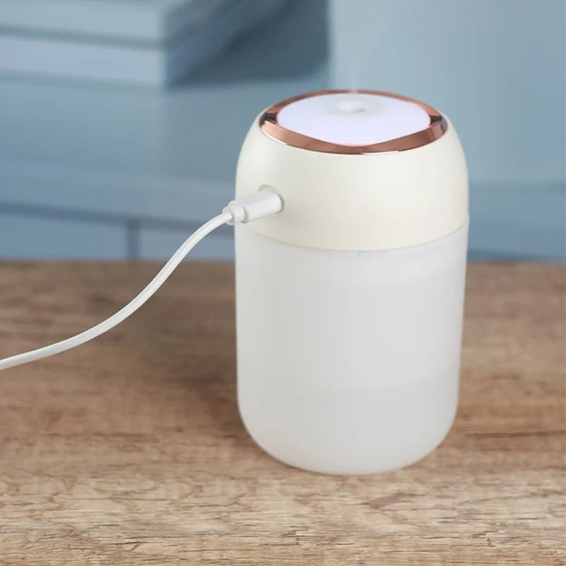 Portable Mini USB Air Humidifier and Aroma Diffuser with LED Light 330ml