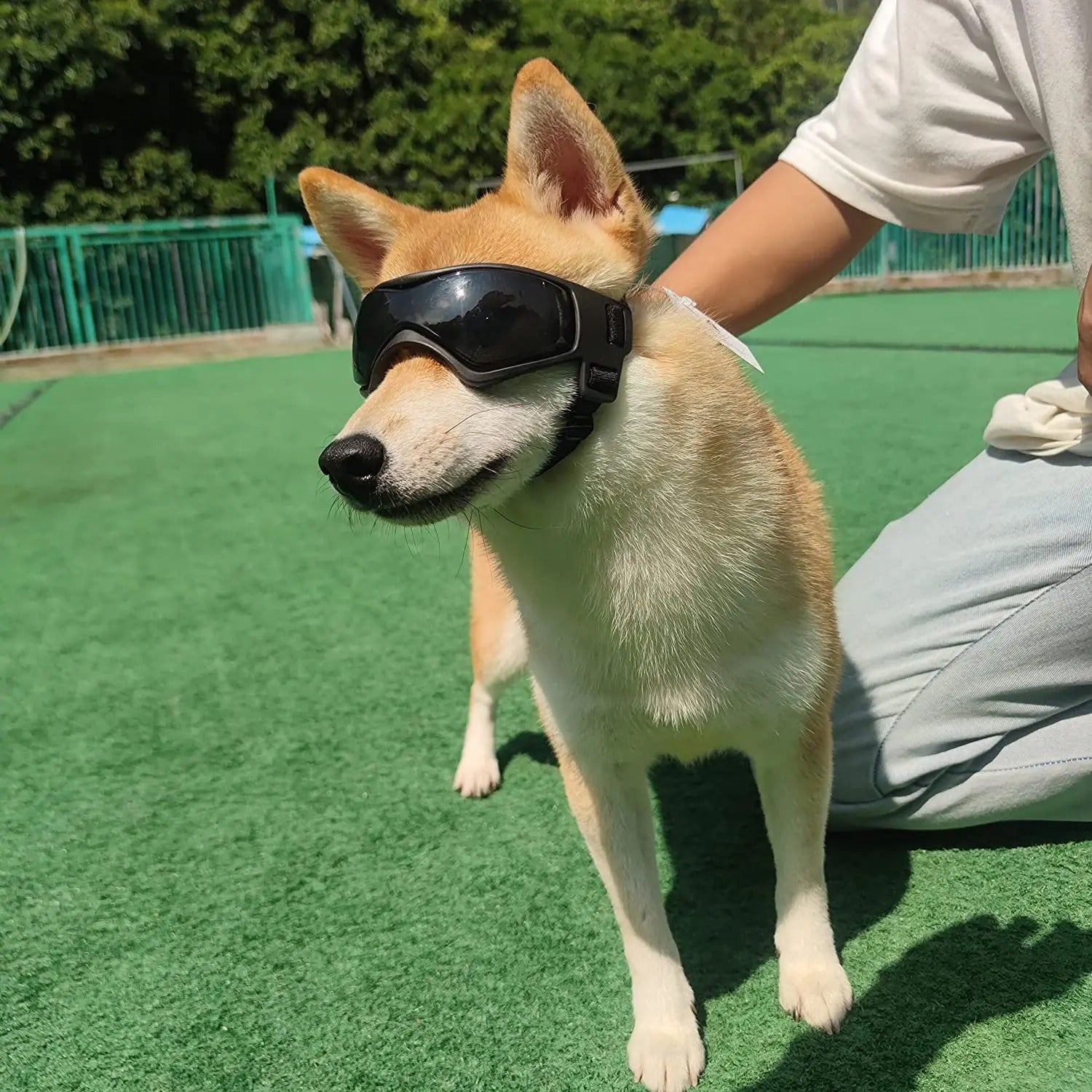 UV Protection Dog Sunglasses Adjustable Pet Goggles for Small and Medium Breed Dogs